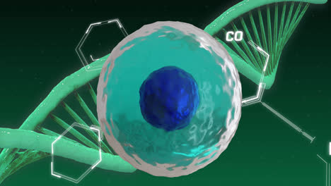 Animation-Einer-Zelle-Mit-Datenverarbeitung-Und-DNA-Strang-Auf-Grünem-Hintergrund