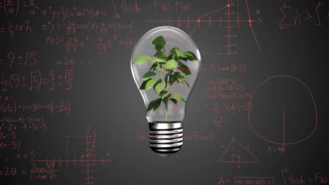 Animation-Einer-Glühbirne-Mit-Pflanze-über-Mathematischen-Gleichungen-Auf-Schwarzem-Hintergrund