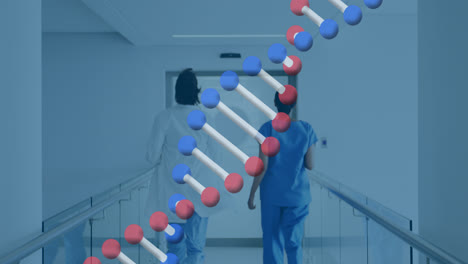 Animation-of-dna-over-back-view-of-diverse-female-doctors-running-on-corridor