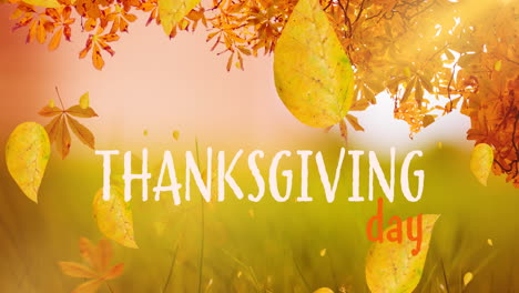 Animation-Eines-Textes-Zum-Happy-Thanksgiving-Day-über-Herbstblättern-Und-Bäumen-Im-Hintergrund