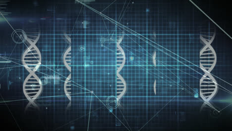 Animation-of-scientific-data,-dna-and-connections-over-black-and-blue-background