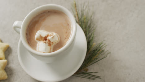 Video-of-cup-of-hot-chocolate-with-marshmallows-and-biscuits-over-grey-background