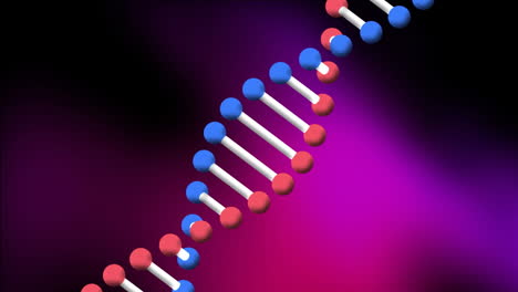 Animation-of-dna-structure-spinning-against-purple-gradient-background