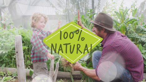 Animation-of-100-percent-natural-text-over-caucasian-father-and-son-gardening