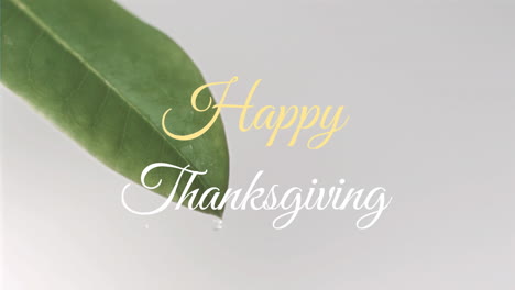 Animation-of-happy-thanksgiving-text-banner-against-close-up-of-a-water-drop-falling-of-a-leaf