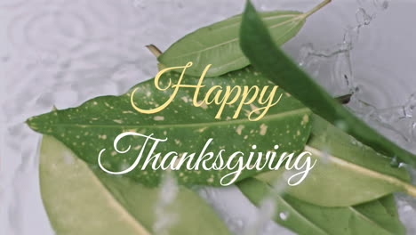 Animation-of-happy-thanksgiving-text-banner-against-slow-motion-of-leaves-falling-in-the-water