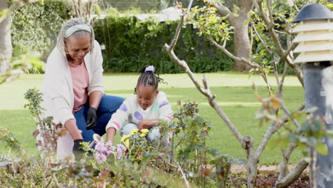 Glückliche-Afroamerikanische-Großmutter-Und-Enkelin,-Die-Sich-Um-Pflanzen-Im-Sonnigen-Garten-Kümmern,-Zeitlupe