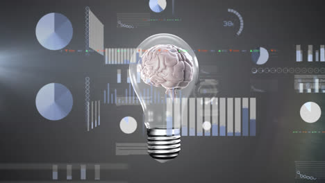 Animation-of-human-brain,-light-bulb-and-data-processing