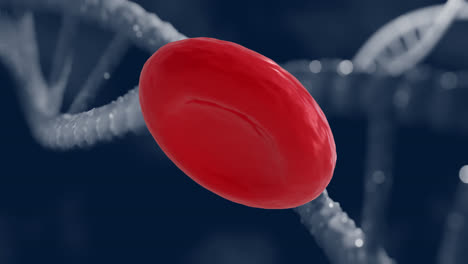 Animation-of-blood-cell-and-dna-strands-on-black-background
