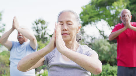 Mujer-Asiática-Mayor-Practicando-Meditación-De-Yoga-Con-Un-Grupo-Diverso-De-Personas-Mayores-En-El-Jardín,-Cámara-Lenta