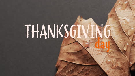 Animation-of-thanksgiving-day-text-over-autumn-leaf-on-grey-background