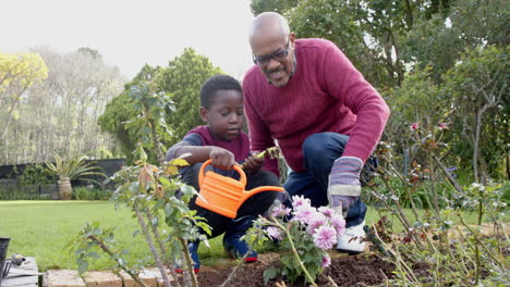 Happy-african-american-grandfather-and-grandson-watering-plants-in-garden,-slow-motion