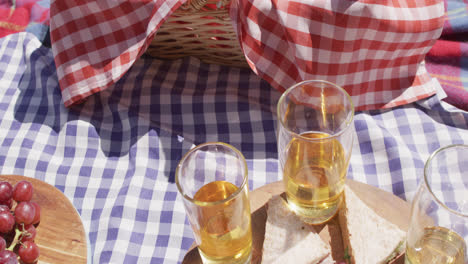 Close-up-of-food-and-drinks-laid-out-on-blankets-in-a-sunny-garden,-slow-motion
