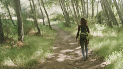 Mujer-Afroamericana-Usando-Mochila-Y-Caminando-Con-Bastón-De-Trekking-En-El-Bosque,-Cámara-Lenta