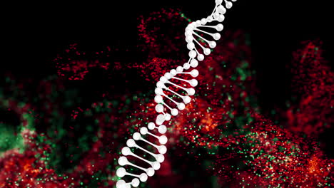 Animation-of-spinning-dna-structure,-red-and-green-digital-waves-against-black-background