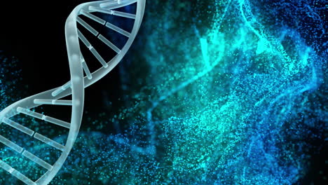 Animation-Einer-Sich-Drehenden-DNA-Struktur,-Blaue-Und-Grüne-Digitale-Wellen-Vor-Schwarzem-Hintergrund