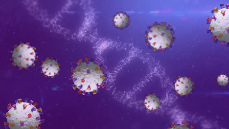 Animation-Von-Covid-19-Zellen,-Die-über-Einen-DNA-Strang-Auf-Violettem-Hintergrund-Fliegen