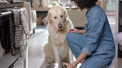 Biracial-woman-serving-golden-retriever-dog-food-at-home,-slow-motion