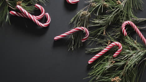 Video-of-christmas-candy-canes-and-fir-tree-branches-and-copy-space-on-black-background