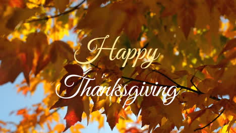 Animation-of-happy-thanksgiving-text-banner-against-close-up-of-sun-shining-through-trees