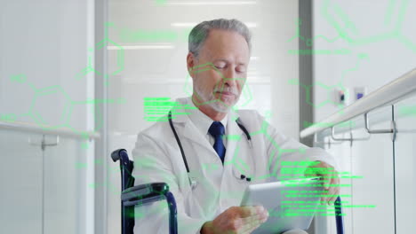 Animation-of-data-processing-on-caucasian-male-doctor-on-wheelchair-using-tablet-at-hospital