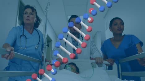 Animation-of-dna-over-diverse-female-and-male-doctors-running-with-bed-with-unconscious-patient