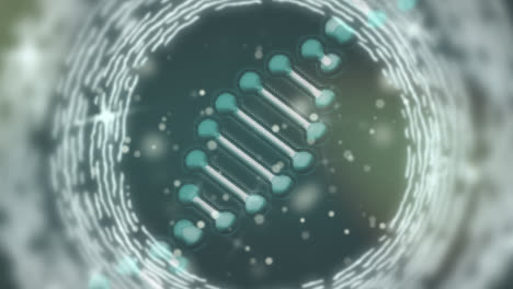 Animation-of-spinning-dna-structure-and-glowing-light-spots-against-green-background