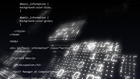 Animation-of-binary-coding-and-data-processing