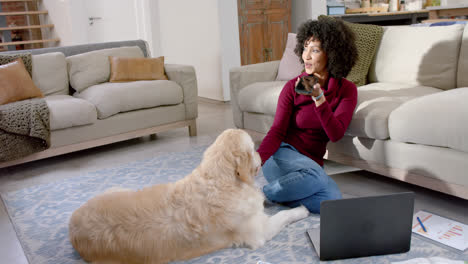 Happy-biracial-woman-with-golden-retriever-dog-using-laptop-and-smartphone-at-home,-slow-motion