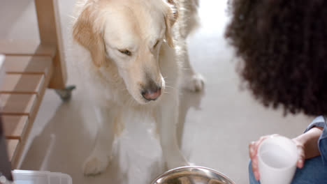 Midsection-of-biracial-woman-serving-golden-retriever-dog-food-at-home,-slow-motion