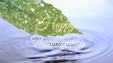 Animation-of-happy-thanksgiving-text-banner-against-close-up-of-a-leaf-dripping-in-water
