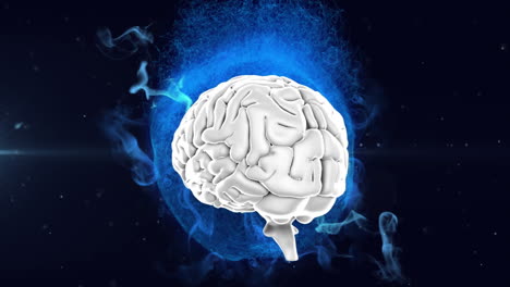 Animation-of-spinning-human-brain-over-blue-glowing-digital-waves-against-black-background