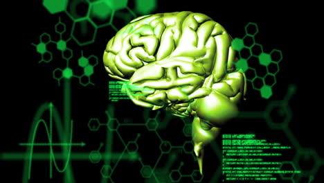 Animation-of-medical-data-processing-over-spinning-human-brain-against-black-background