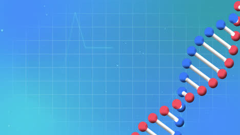 Animation-Von-Kardiograph-Und-DNA-Strang-Auf-Blauem-Hintergrund