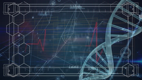 Animation-of-scientific-data,-dna-and-connections-over-navy-background
