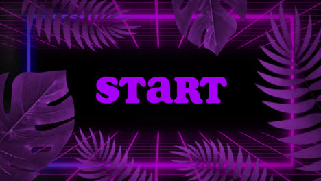 Animation-of-start-text-in-purple-with-neon-frame-and-purple-leaves-on-black