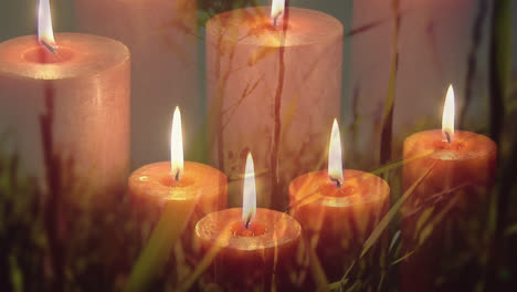 Animation-of-lit-candles-over-meadow-and-grass