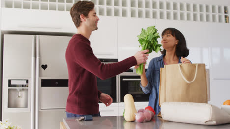 Video-of-happy-diverse-couple-unpacking-groceries-in-kitchen