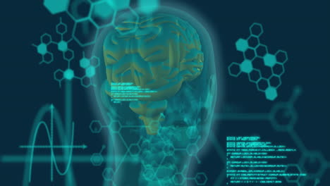 Animation-Der-Medizinischen-Datenverarbeitung-über-Einem-Sich-Drehenden-Menschlichen-Kopf-Vor-Blauem-Hintergrund