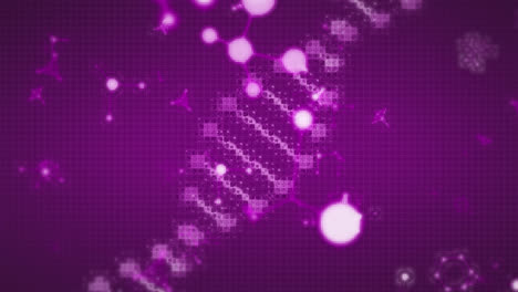 Animation-Von-Molekülen,-Die-Sich-über-Einen-DNA-Strang-Auf-Violettem-Hintergrund-Bewegen