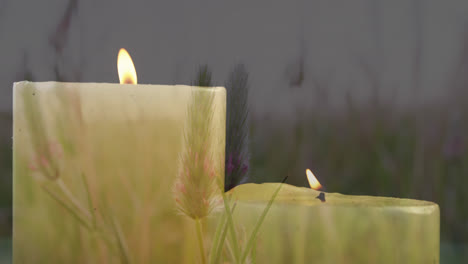 Animation-of-lit-candles-over-meadow-and-grass