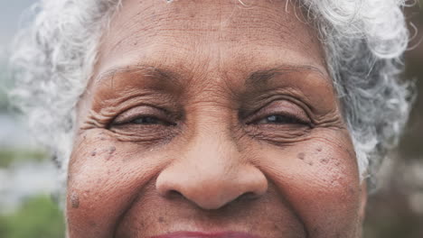 Porträt-Einer-Lächelnden-älteren-Afroamerikanerin,-Kopierraum,-Zeitlupe