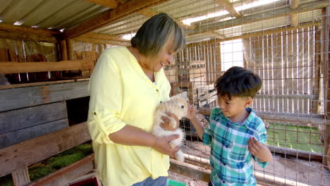 Feliz-Abuela-Birracial-Y-Nieto-Sosteniendo-Y-Acariciando-Conejos,-Cámara-Lenta