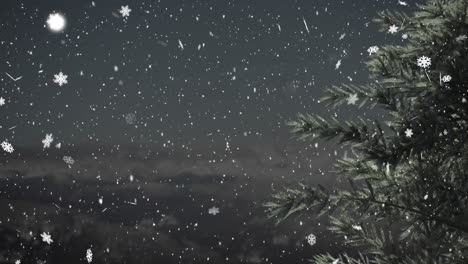 Animation-of-christmas-tree-over-snow-falling-background