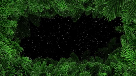 Animation-Von-Weihnachtsbaumzweigen-über-Schneebedecktem-Hintergrund