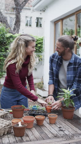 Vertical-video-of-happy-diverse-couple-planting-seeds-in-garden,-slow-motion