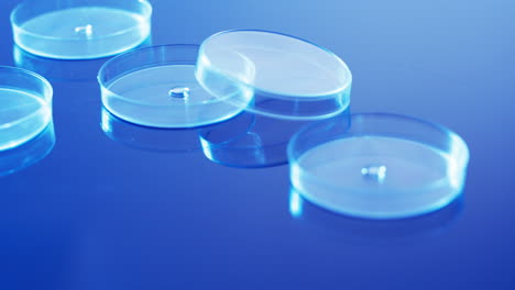 Video-of-close-up-of-laboratory-round-glass-dishes-with-copy-space-on-blue-background