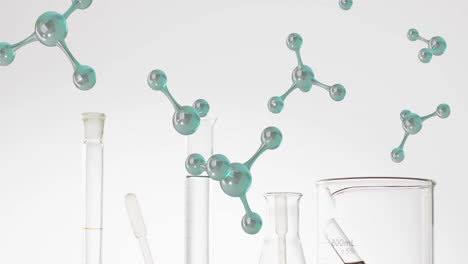 Animation-of-molecules-over-laboratory-dishes-on-white-background