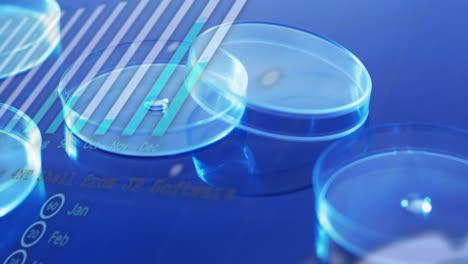 Animation-of-scientific-data-processing-over-laboratory-dishes-on-blue-background