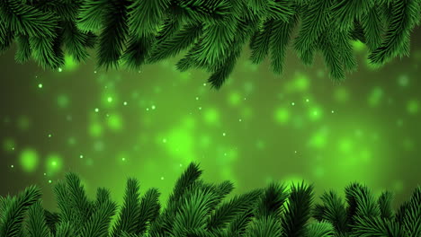Animation-of-fir-tree-branches-over-spot-lights-on-green-background